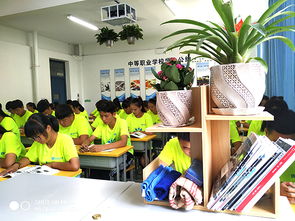 藝術設計部開展多樣班級文化創建活動，搭建文化藝術交流新平臺